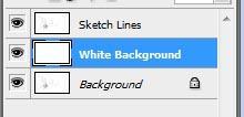Make sure your White Background layer is selected on your layer list and Click anywhere in the drawing space. You will see that The layer preview in the list changes from clear to White.