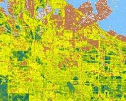 LandSat Imagery Services in 2012 Dynamic and time aware imagery services for