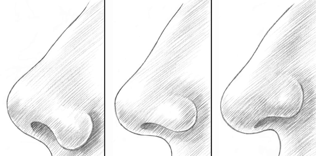 6 Figure 806 7) Use your kneaded eraser to lighten the outlines of the forms.
