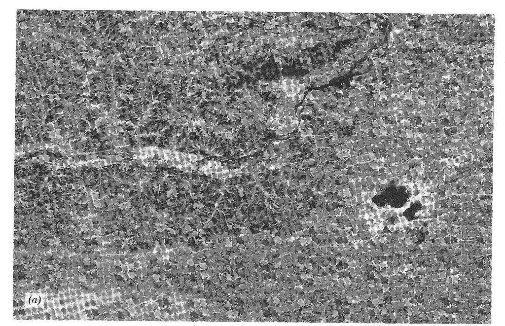 Fig. 8.1 Landsat MSS Band 5 images, southwestern Wisconsin, 1: 1,000,000.