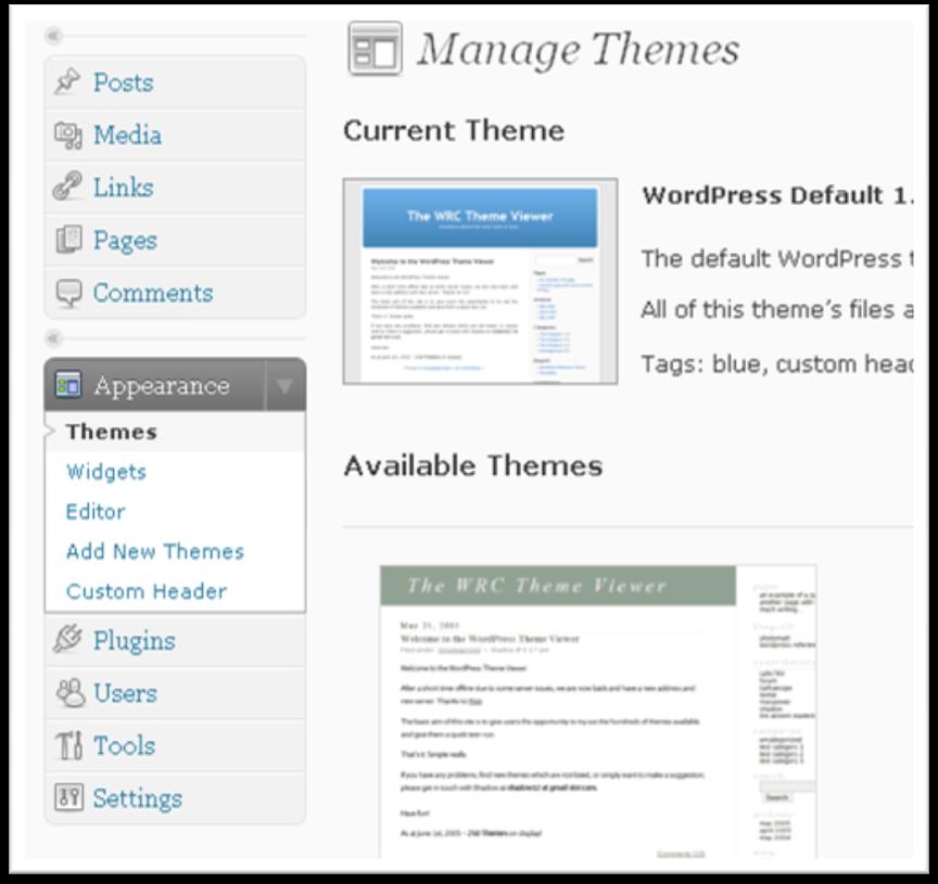CHANGE BLOG THEME To change the theme of your blog, click on the drop down arrow on the link Appearance and click on Themes.