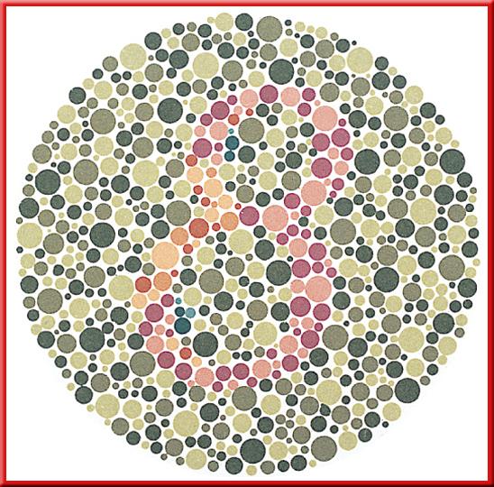 4 Light and Color Color Blindness If cone cells do not function properly, you might not be able to distinguish certain colors.