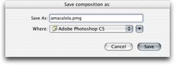 Chapter 17 Automating Photoshop 4 Once all the image components are in place, you can try making further improvements.