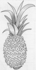 32. On this scale, the arrow ( ) shows the weight of this pineapple. 0 1 2 kg Here is a different scale.