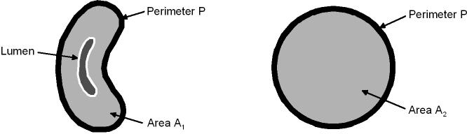 Fig. 4 and Fig. 5 show the definition of the measured values in relation to the maturity characteristics. The respective parameters can be explained using Fig. 4. Fig. 4 shows the cross-section of a cotton fiber.