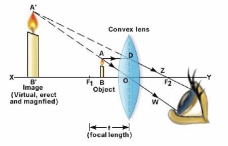 Case 1 Image formed by a convex lens when the object is placed between the optical centre O and the focus F1. Consider the following figure. Let the object be a candle AB placed between F1 and O.