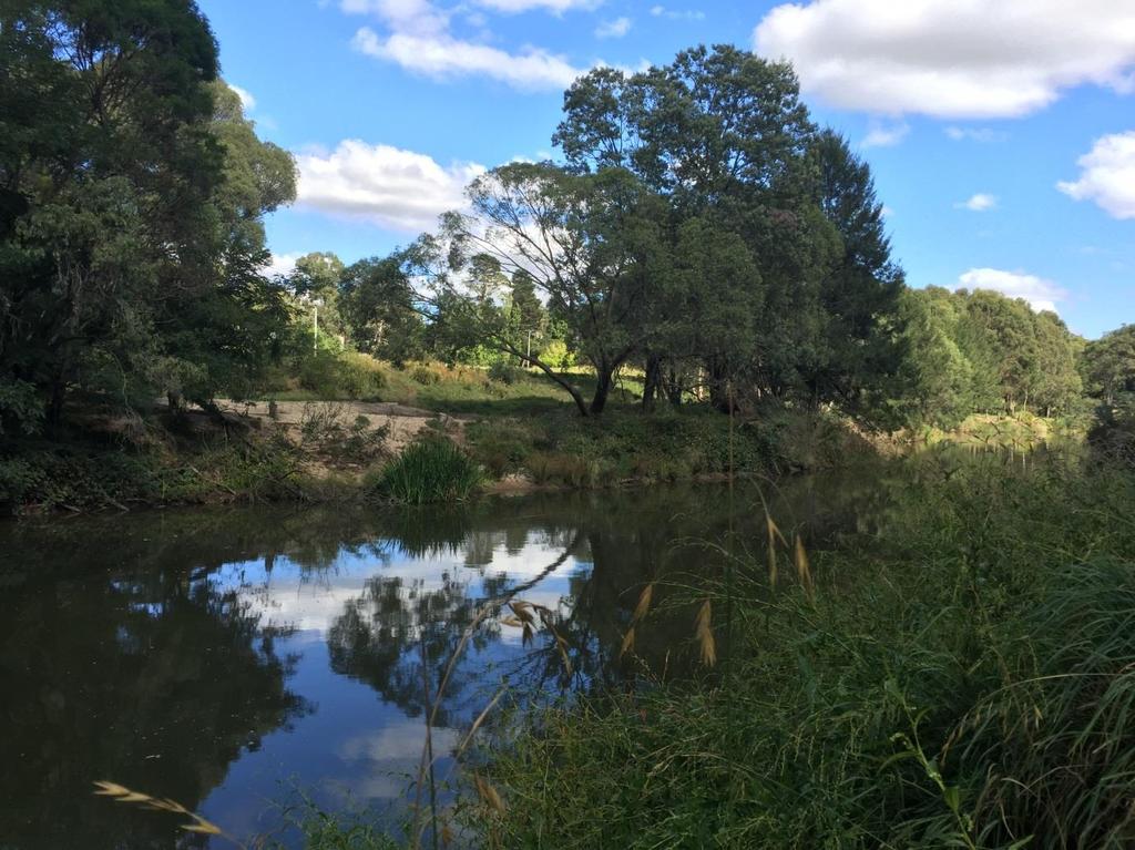 High School - Highly Commended Berrima River by Mimi Love Mimi has shown that she has taken the time to walk along one of the many beautiful