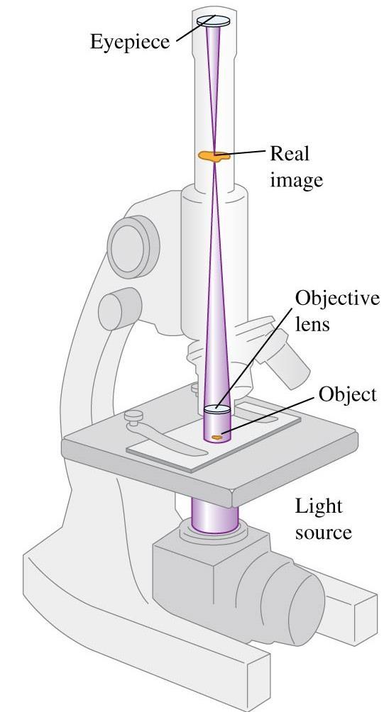 The compound microscope