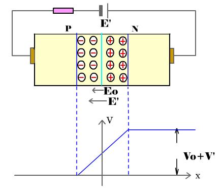 5.1 The Physical Principles of Semiconductor PN Junction Reverse bias: apply a negative voltage to the P-type, positive to N-type. Increase the built-in potential, increase the barrier height.