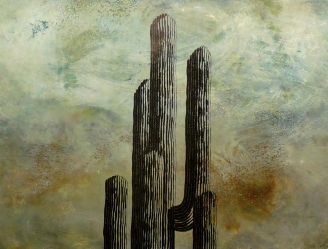 65 x 65 cm John Wilkins Cactus