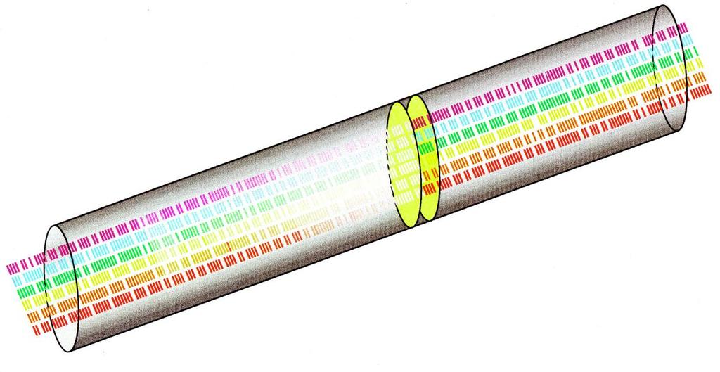Wavelength-Division-Multiplexing (WDM) Optical Fiber Data @ Different Wavelength Gain Region Multiple colors of light traveling