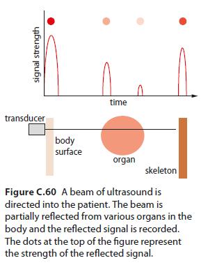 Ultrasound: B-Scans B-Scans convert