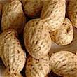 Birth: July 12, 1864 in Diamond Grove, Missouri Death: January 5, 1943 in Tuskegee, Alabama Nationality: American Invention: peanut agricultural science Function: noun / crop rotation Definition: