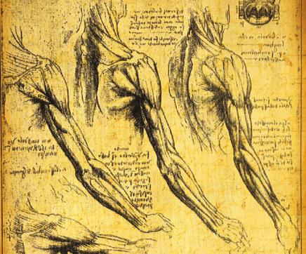 Leonardo created the idea of the Vitruvian man. 2.