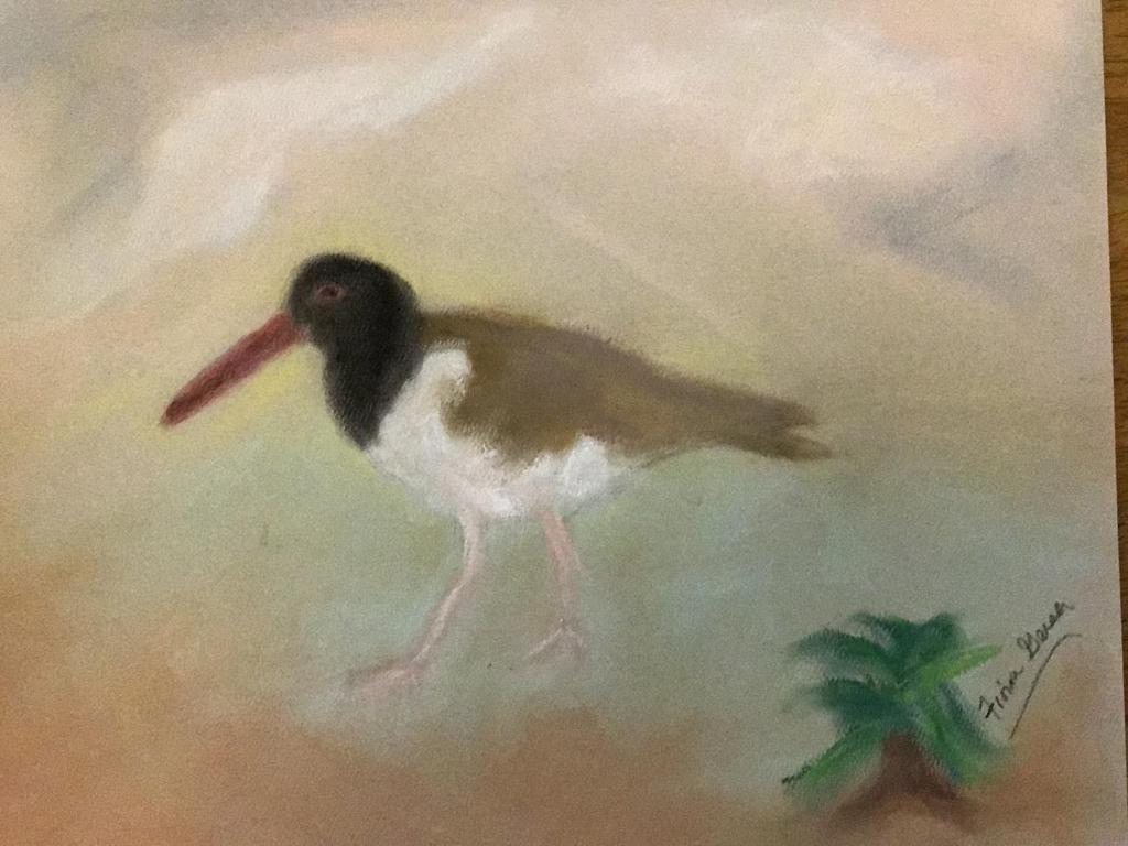 P a g e 10 4. Sketching Birds On a summer vacation at Cape May, New Jersey, I had photographed a very unique bird: the American Oystercatcher. That was really my first pastel (Fig.