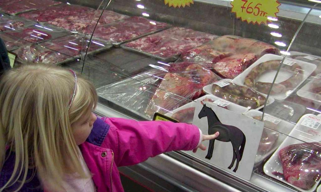 The Daily News World News Horse meat outrage: Surprised Europeans discover