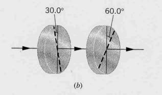 The refracted rays (but not the reflected rays) are shown in each material.