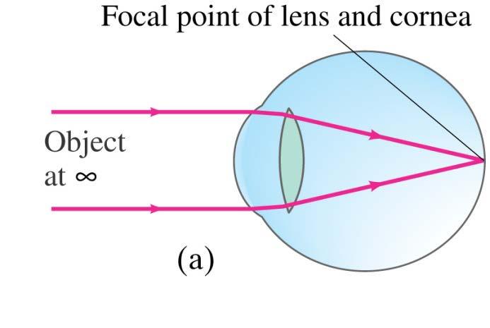 adjustable lens, iris (aperture), and retina (detector).