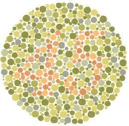 Color Blindness the inability to see red, green, blue, or any mix of these colors.