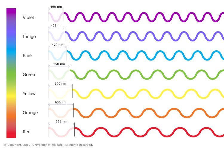 Light wavelengths Frequency of light wave determines its hue Short wavelengths at high frequency = Blue colors Long