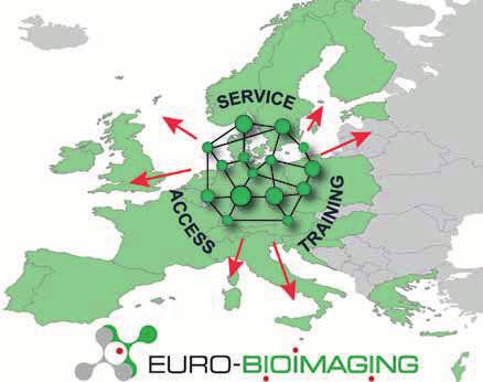 BIOLOGICALAND MEDICAL SCIENCES euro-bioimaging European Research Infrastructure for biomedical imaging preparatory phase Coordination: EMBL Number of participating countries: 17 TimeliNe Preparation