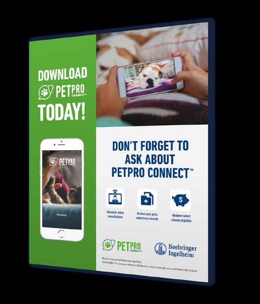 Digital innovation in animal health App PetPro Connect enables direct digital