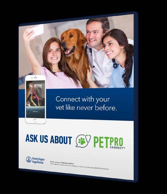 different online services provided by veterinarians Patient details of pets soon to be