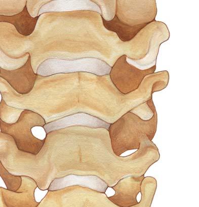 5 Tapping The Snowmass Anterior Cervical Plate System provides