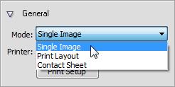 Print, Export, and Share 159 To print using your own layouts: 1. Click the Print button on the Standard toolbar. The Print Studio appears. 2.
