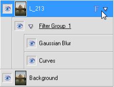 Applying Image Effects 59 To convert to a filter layer: In the Layers tab, right-click a standard or Background layer and choose Convert to Filter Layer.