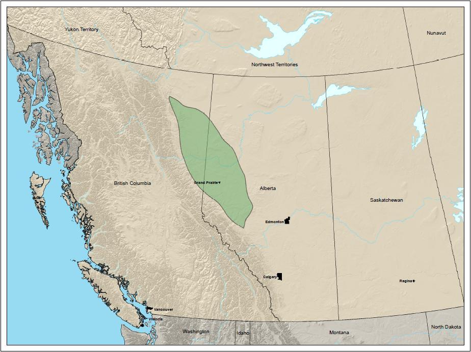 Montney Formation Overview The Montney Formation is a NW-SE trending, football shaped formation that straddles the border between British Columbia and Alberta.