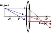 1. Repeat the process for the bottom of the object. 1. Mark the image of the top of the object. 2.The image point of the top of the object is the point where the two refracted rays intersect.