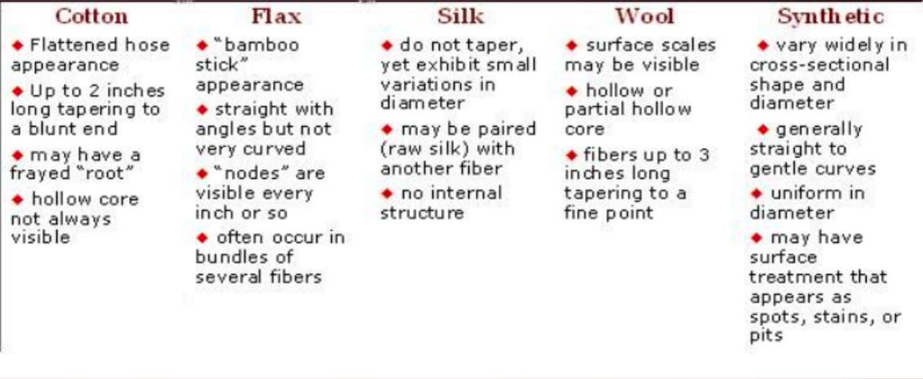 Comparison of Natural and Synthetic Fibers Visual