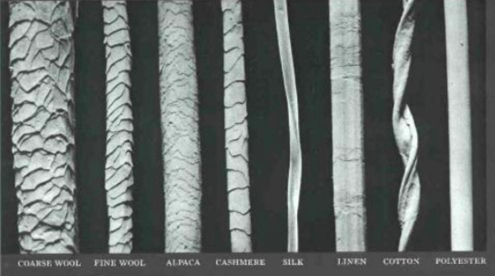 Fiber Evidence Microscopic comparisons Between questioned and standard/reference