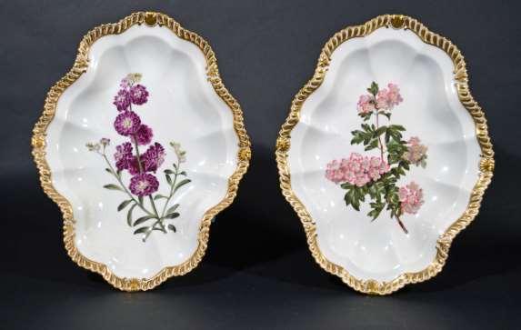 A Pair of Large Chamberlain s Worcester Porcelain Botanical Dishes, Circa 1815-20. The service is gadroon-edged with a gilt and white design with alternating moulded shell and fleur de lis panels.