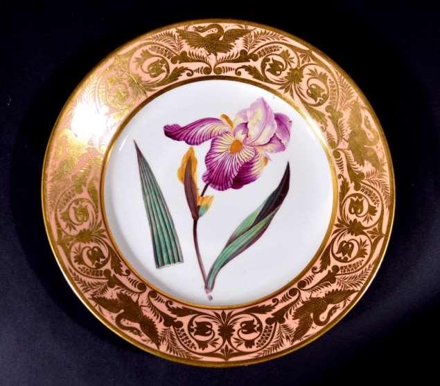 A Fine Derby Porcelain Salmon Plate of The Elder Scented Iris, Painted by John Brewer, Circa 1815. Diameter: 8 7/8 inches.
