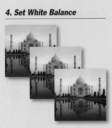 4. Set White Balance White Balance is the Color Cast of different temperature lighting situations. Outdoor vs.