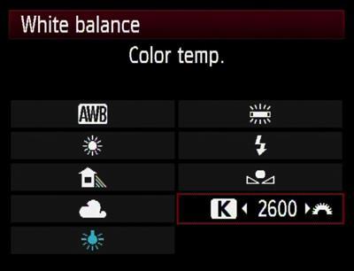 White Balance - Leave on Auto white balance (AWB) when shooting in RAW - Possibly change the white balance to the specific lighting situation when shooting in JPEG OR you will
