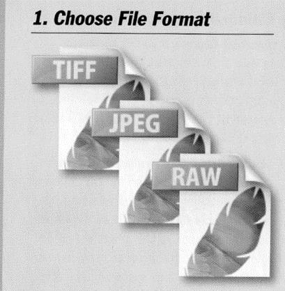 1. Choosing your camera File Format: Do I shoot in JPEG OR RAW? What is your intended use for this image, (this will help you decide)?