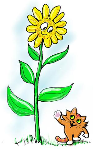 Section 1 Red words go to the Web. Blue words tell you more. Sunny s Story Sunny Sunflower does look bright and cheery.