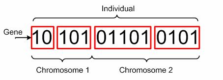 such as crossover and mutation are easily applied when binary encoding is used. An example of a binary encoded individual is shown in Figure 3-2.