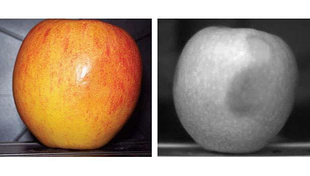 Agricultural Inspection Water detection in Fruit http://www.qualitymag.