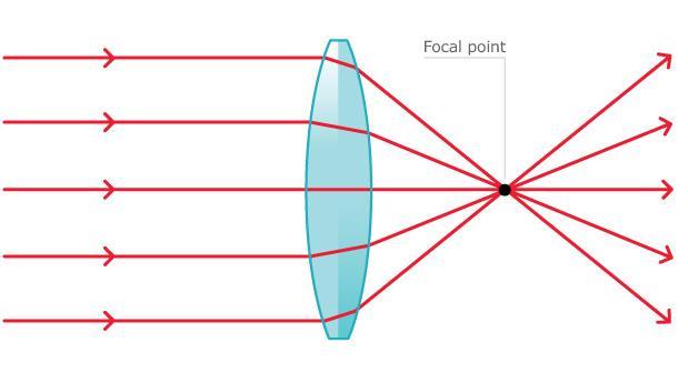 Principles of Optics Light is change by objects it encounters in