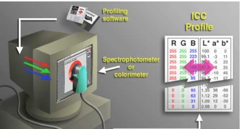 profiling 91 ICC profiling sequence Display profiling Stabilize* the