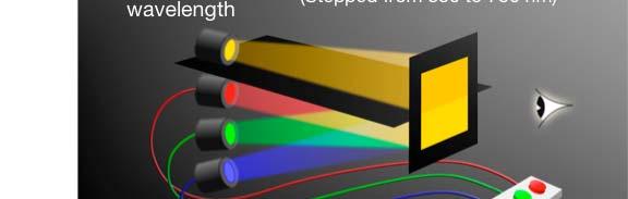 wavelengths Attenuators Amount of RGB light needed to match each reference wavelength example