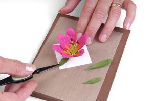 Apply a small amount of glue with a toothpick to the fanned ends of the stamen.