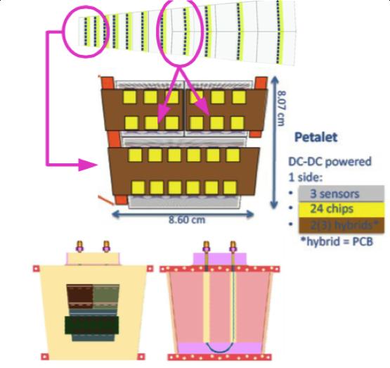 Figure 13: Drawing of a endcap petalet with ASICS in 130 nm CMOS process.