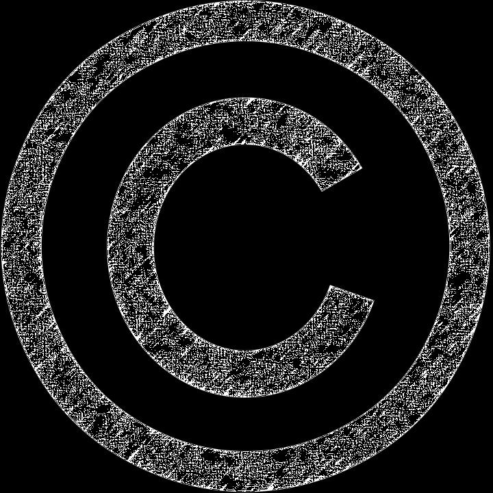 Copyright Protection The exclusive right, granted by law, of the creator of a work (or his/her assignees or employers) to make or dispose of copies and otherwise to