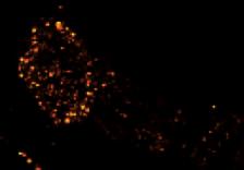astronomy to improve microscope images by