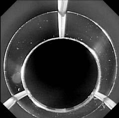 Omnidirectional Vision Attachment for Medical Endoscopes 9 1 2 d=8mm 3 4 degrees Fig. 12.